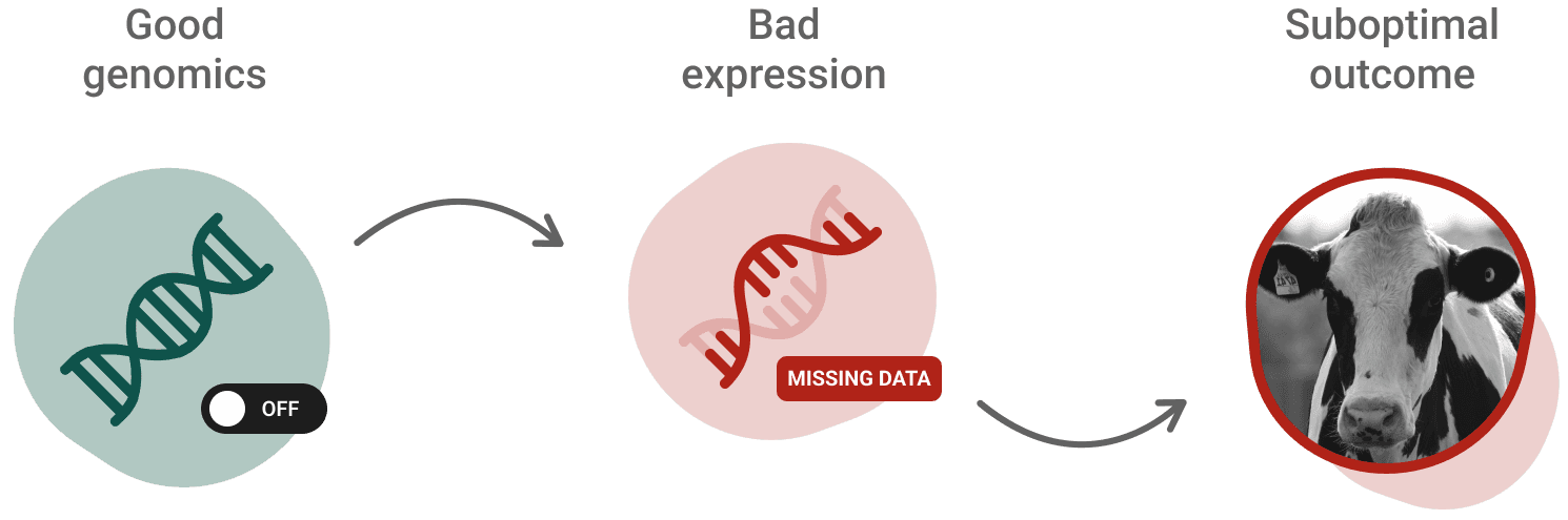 Why do genetically similar animals have different performance?